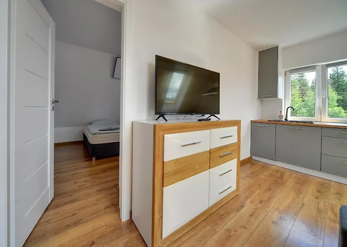 Apartment Mega Widok