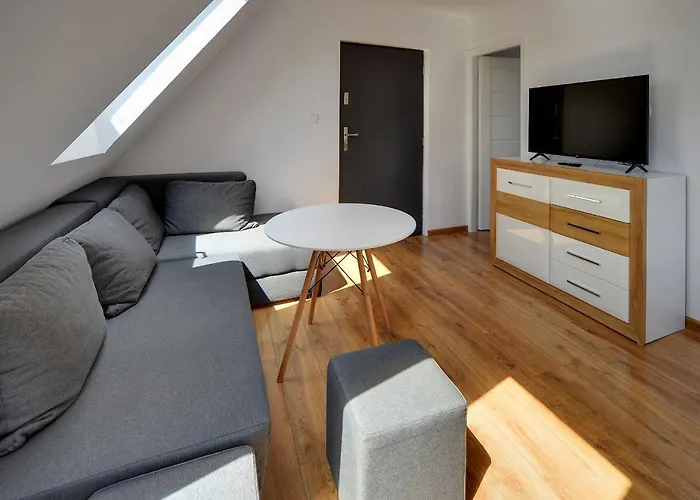 Mega Widok Apartment *